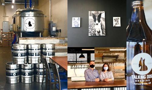 Talking Dog Brewing - Now Open! Photo